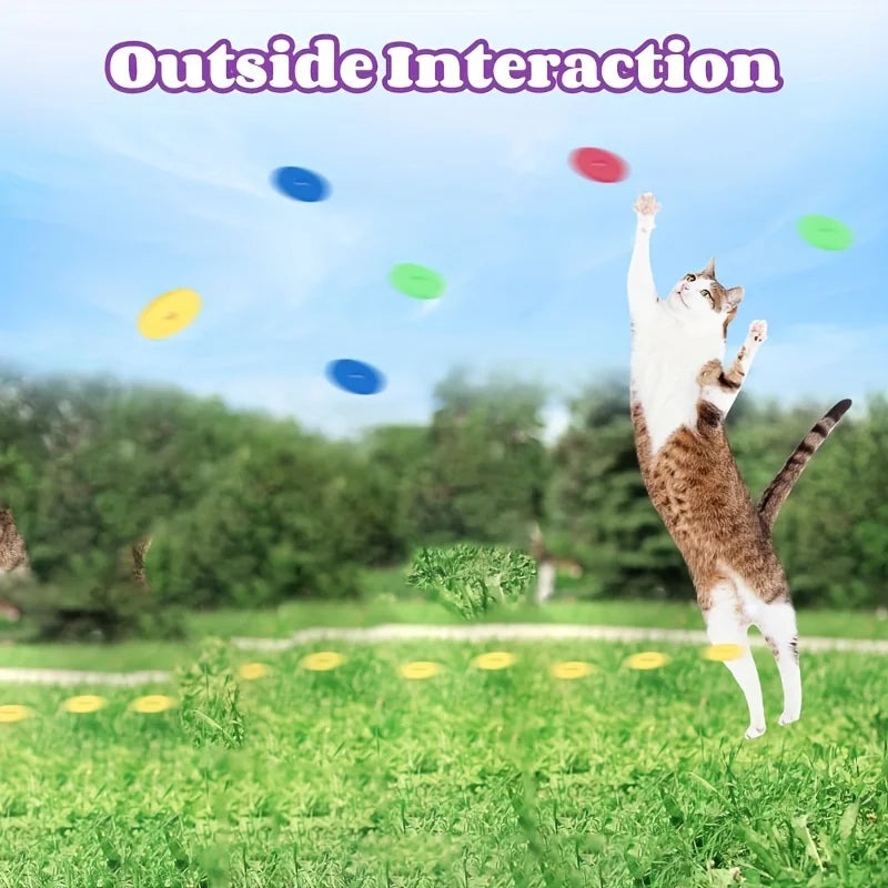 Foam Disc Cat Toy Launcher ā Interactive Indoor Play Game for Cats, Battery-Free & Durable