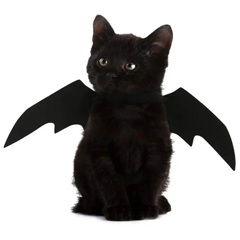 Halloween Pet Bat Wings Costume – Cute Cat Dog Harness Outfit for Party & Cosplay