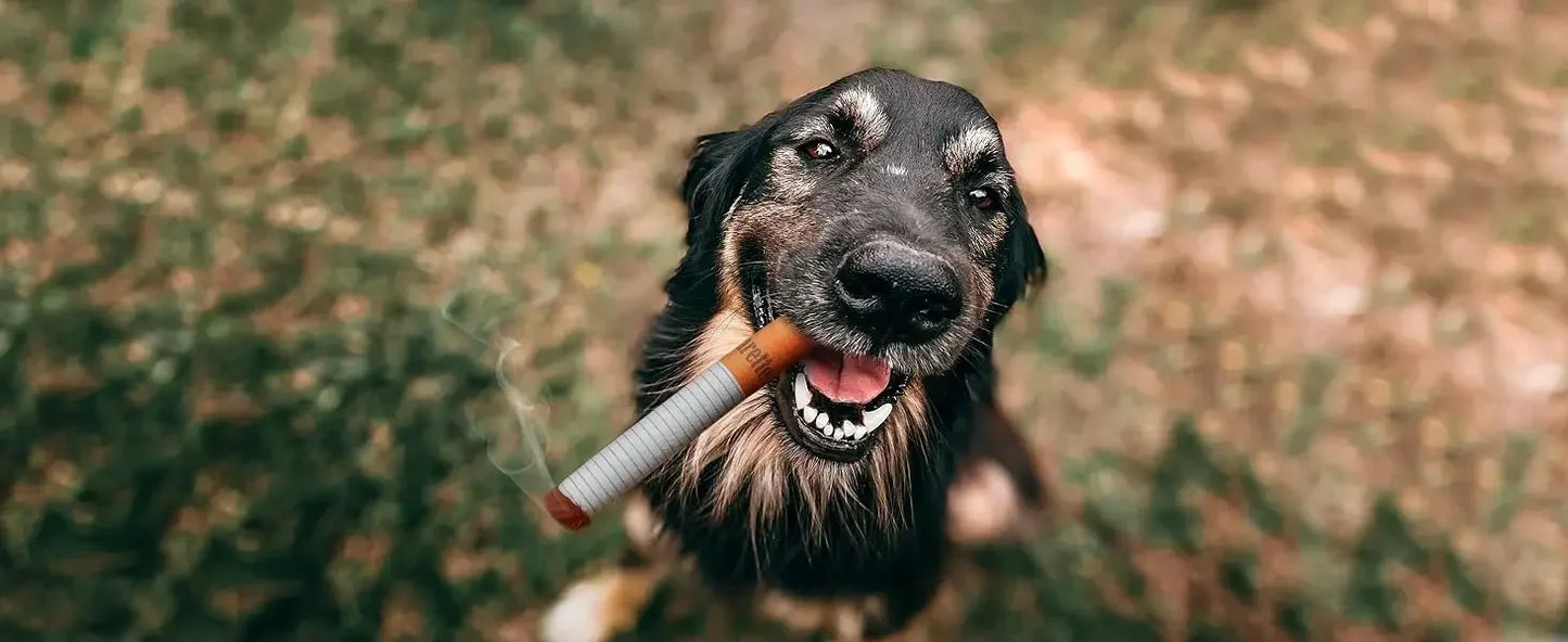 Funny Plush Cigarette Dog Toy β Chewable Interactive Gift for Playful Dogs & Puppies
