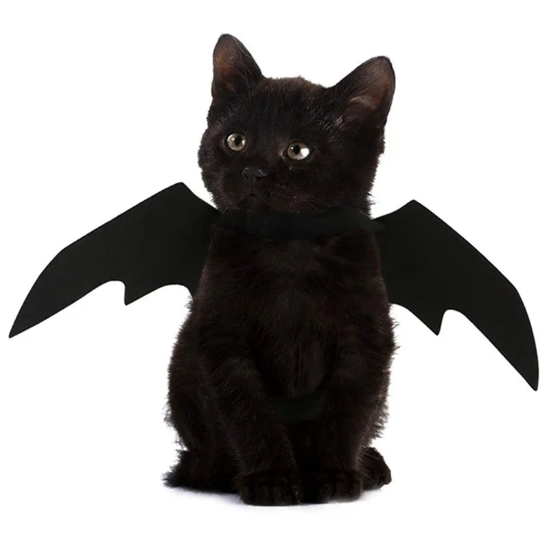 Halloween Pet Bat Wings Costume – Cute Cat Dog Harness Outfit for Party & Cosplay