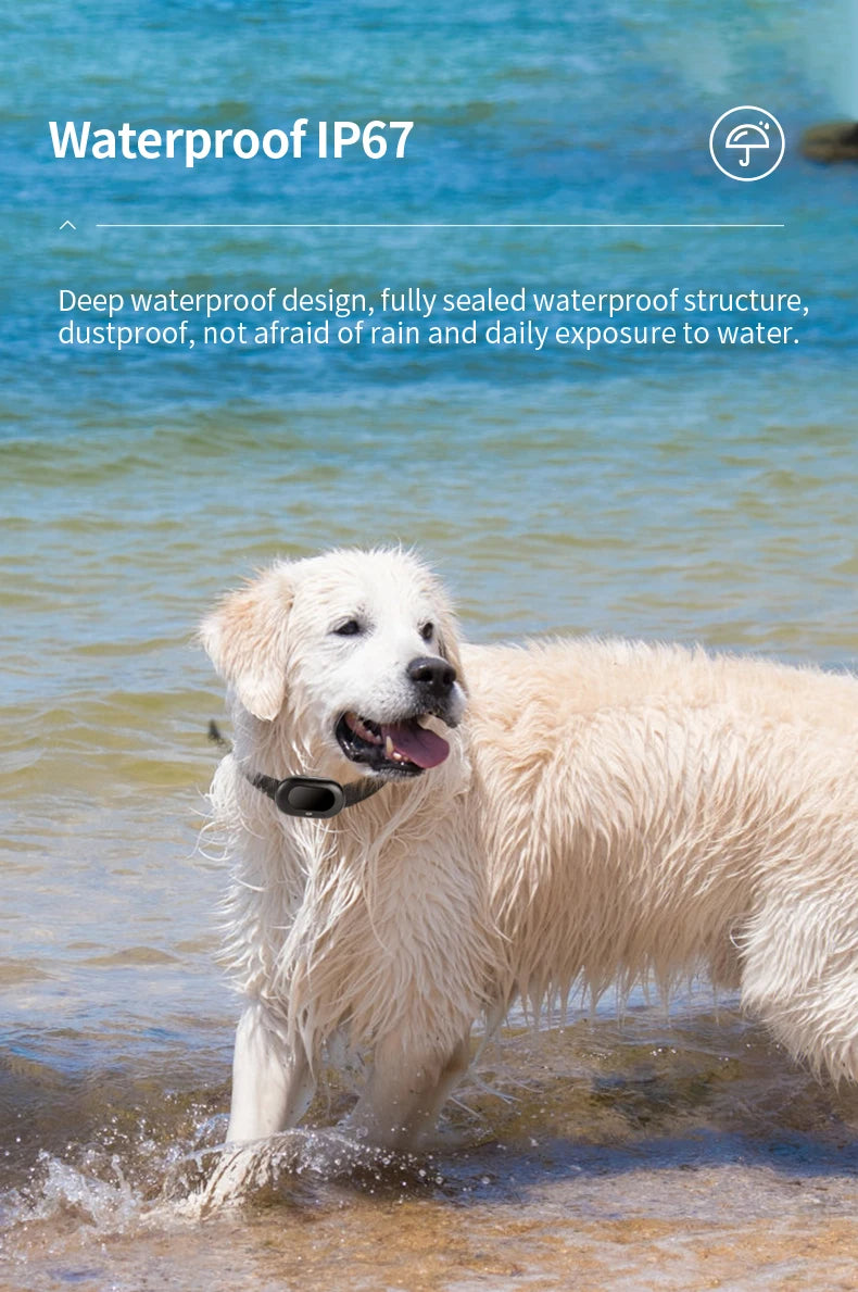 GPS Pet Tracking Collar – Waterproof Smart Locator with GEO Fence