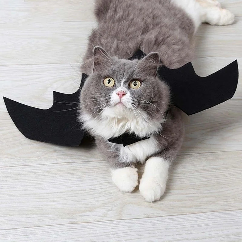 Halloween Pet Bat Wings Costume – Cute Cat Dog Harness Outfit for Party & Cosplay