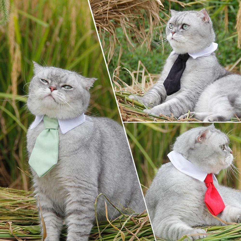 Pet Graduation Cap with Bow Tie & Neck Tie – Cute Dog & Cat Graduation Costume Accessory