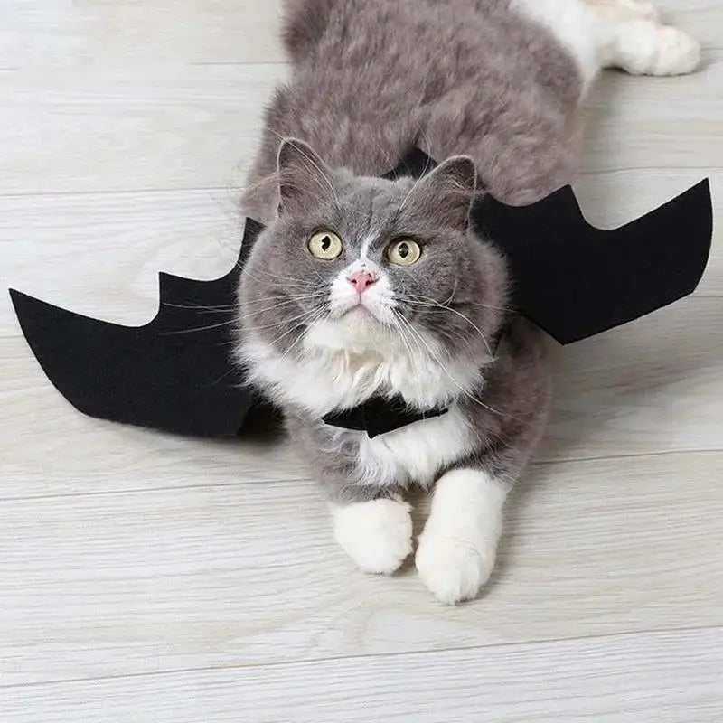 Halloween Pet Bat Wings Costume – Cute Cat Dog Harness Outfit for Party & Cosplay