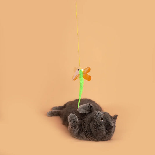 Cat Hanging Door Toy – Elastic Rope Feather Teaser for Cats