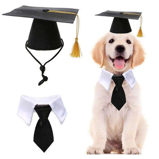 Pet Graduation Cap with Bow Tie & Neck Tie – Cute Dog & Cat Graduation Costume Accessory